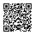 QR AVEL REINIGER KAMIN U OFENSCHE