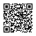 QR SPAGYROS PHOSPHORIC ACID C30