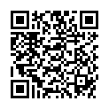 QR FEMADA LEBENSMITTELAROMA LIMET