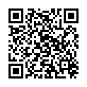 QR SONY HOERGERAETBATT ZINCA  13D