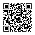 QR SONY HOERGERAETBATT ZINCA  10D