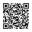 QR BUTSCH KEHLKOPFSPIEG GRIF FIG0