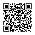 QR ASSISTENT FLIESSPAP F TROCKENS