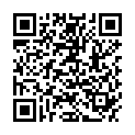 QR OMIDA EQUISETUM ARVENSE C