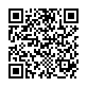 QR PERFECT MOUSSE 300 SCHWARZBRAU