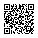 QR AVEL FLECKENENTF LEDER U TEXTI