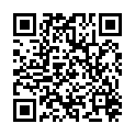 QR PUDOL 1001 SPL-REINIGUNGSMITTE