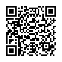 QR AVEL LEDERREINIGUNGSPFLEGESEIF