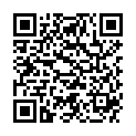 QR CREA KAMINEINSAETZE REINIGER