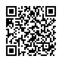 QR BEEREN MIX SIRUP BIO PET