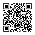 QR HERBA NEC 19X2X13CM SILBER