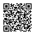 QR APFELMINZENSIRUP BIO PET