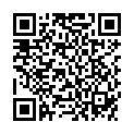 QR BISSON COOKIES SCHOKOLADE