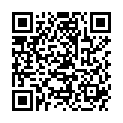 QR BRAUN DOSIERPUMPE F FLASCHE 1L