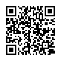 QR SONNENTOR ADVENTKALEND TEE BTL