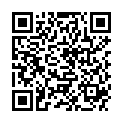 QR PANASONIC HOERGERA BATTERIE 13