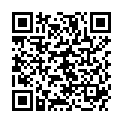 QR Геволь Хорнаут-Швам  пемза для удаления загрубевшей кожи 1шт.