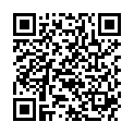 QR BOR NAGELKNIPSER STAHL VER