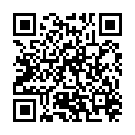 QR SONNENTOR HOLUNDERBL TEE OFFEN