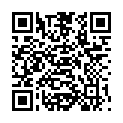 QR BORT STABILO COL ELBDE 6CMX5M