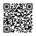 QR RABENHORST KIRSCH-NEKTAR BIO