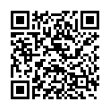 QR SONNENTOR INGWER ZITRONEN TEE