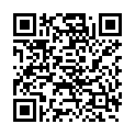 QR RESPIRONICS MUNDSTK MEHRWEG