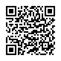 QR PRONTO MBEL-BALSAM BIENENWACHS