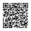 QR SAPHIR MAXISCHWAMM PRO-SHINE T