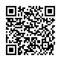 QR DREI PAULY SCHOKOKISSEN