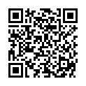 QR MORGA TEE HOLUNDERBLUETEN