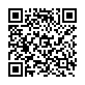 QR ARTDECO PINSEL DOPPELAPP TRANS