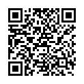 QR SCHAEFERS GERSTENSTENGEL