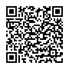 QR Holle Apfel Birne nach 4 Monaten Bio 190 g