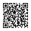 QR Rubimed Zincum Plus шарики 45г