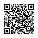 QR SONNENTOR INGWER ZITRONEN SIRU