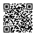 QR FINITO FLIEGENKOEDER DEKORATIV