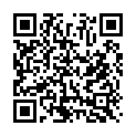 QR Martec Pet Care Pet Ungezieferhalsband Katzen