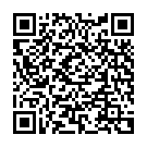 QR QUIES EARPLANES ERWACHSENE