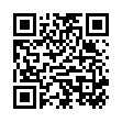 QR BJORG ZWETSCHGEN SAFT