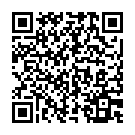 QR SYMBIOFLOR Bronchoprotect Tropfen