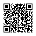 QR Zetuvit Plus Silicone Border 15x25cm 10 Stück