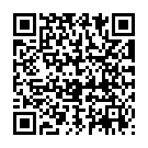 QR Foliodress Suit Comfort Hosen XS Grün 38 Stück
