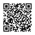QR Foliodress Suit Comfort Hosen S Grün 37 Stück