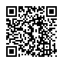 QR Настенный диспенсер Braun Plus Els 500мл с длинным рукавом A/24