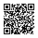 QR Seni Fix Comfort Netzhosen XL 20x 5 Stück