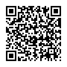 QR Phytomed Schüssler Nr. 2 Tabletten D 6 Lactosefrei 2000 Stück