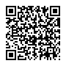 QR Phytomed Schüssler Nr. 12 Tabletten D 6 Lactosefrei 2000 Stück
