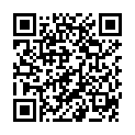 QR PHYTOMED SCH&Uuml;SSLER Nr3 Феррум фосфорикум Dil D 6 500 мл