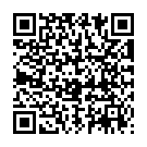 QR PHYTOMED SCH&Uuml;SSLER № 21 Цинк хлоратум Dil D12 500 мл
